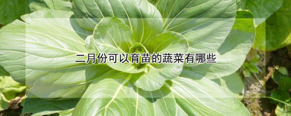 二月份能育苗的蔬菜有什么品种