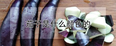 茄子是什么颜色的 茄子的颜色是什么？