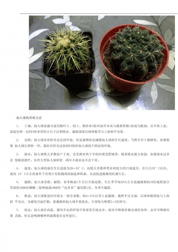 仙人球的习性介绍