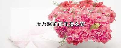 康乃馨的配花如何配 康乃馨的生长习性