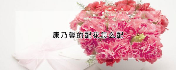康乃馨的配花如何配