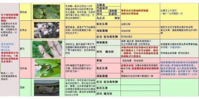 月季多久施一次肥才合适 月季施肥频率应为多久一次？