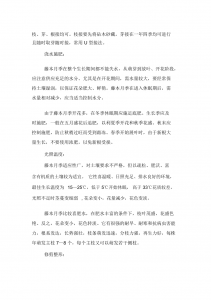 藤本月季移栽注意事项 藤本月季移植要注意的事项