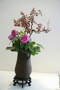 月季花瓣可以做什么 月季花瓣的用途