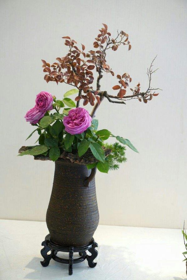 月季花瓣可以做什么
