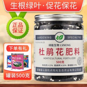 杜鹃花专用肥哪里有卖 哪里可以购买杜鹃花专用肥？
