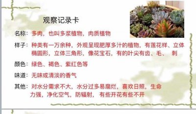 多肉植物的特性及注意事项 多肉植物的特点和注意事项