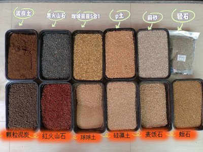 种多肉的土怎么配 多肉植物适合什么土壤？