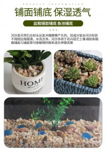 养多肉沙子和土的比例 多肉养护土沙比例要点