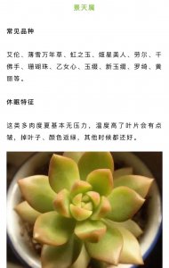 多肉度夏注意事项有哪些 多肉植物夏季养护要点