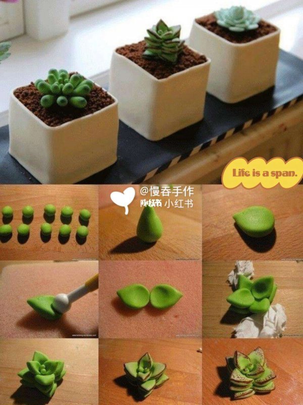 不花钱快速自制多肉土的方法有哪些