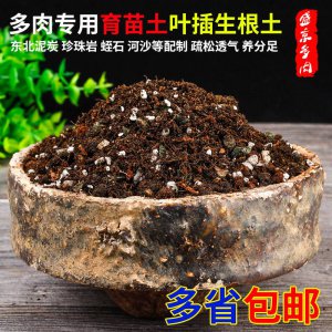 多肉生根粉可以拌土吗 多肉植物可否使用生根粉拌入土壤？