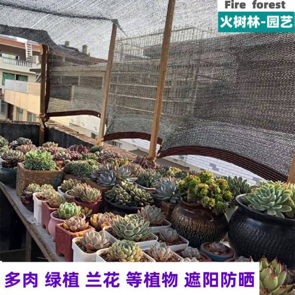 多肉遮阳网选几针最合适