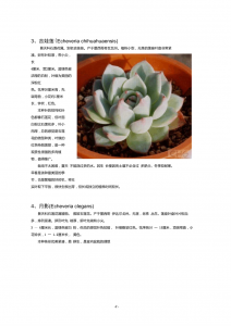 多肉秋季养殖注意事项有哪些 多肉植物秋季养护要点
