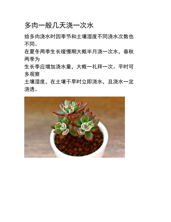 多肉换盆注意事项及最佳时间