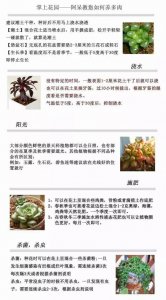 不同季节多肉植物浇水方法技巧总结