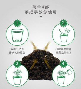 多肉营养土怎么搭配 多肉种植土配比技巧