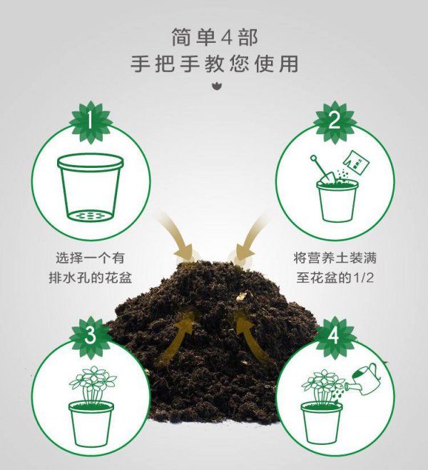 多肉营养土怎么搭配