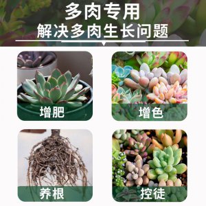 多肉营养液使用方法 多肉植物营养液的正确使用方式