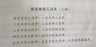 荷花为什么早上开下午合上 为何荷花在清晨绽放在黄昏合拢？