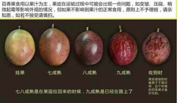 百香果几年结果