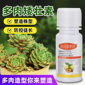 菊花矮壮素的使用方法 菊花生长素的正确使用方式