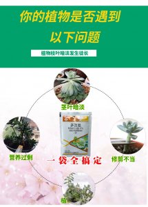 菊花怎样用多效唑矮化 多效唑矮化对菊花的效果如何？