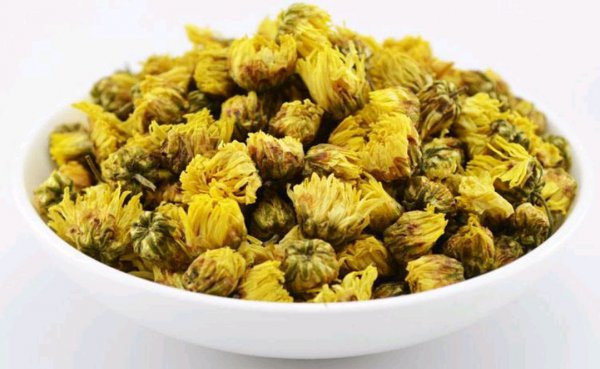 菊花对人体有什么好处