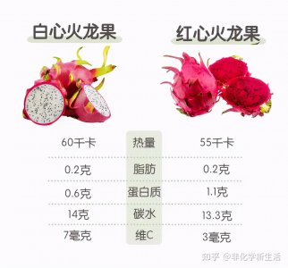 火龙果含糖量高吗 火龙果糖含量高吗？
