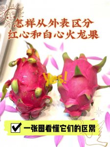 红心火龙果是凉性还是热性 红心火龙果的性质是凉还是热？