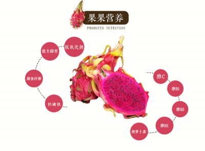 火龙果怎么才能快速结果 如何促使火龙果快速结果？