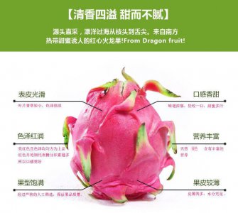 火龙果一年结几次果 火龙果一年结果几次果实？