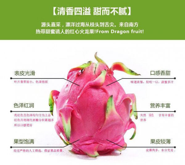 火龙果一年结几次果