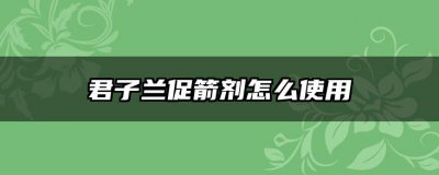 君子兰促箭剂怎么使用 君子兰促生长剂如何使用？