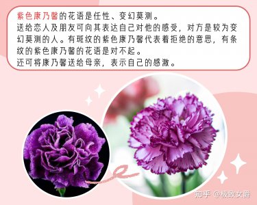 红色康乃馨的花语 红色康乃馨的涵义