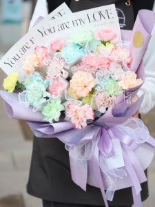 33朵康乃馨朵数寓意 33朵康乃馨象征的意义