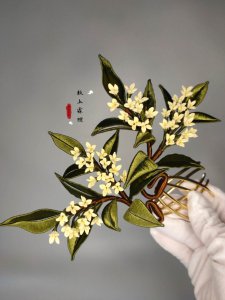 九里香为什么不结果 为何九里香不结果

九里香何故无果