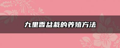 九里香盆栽的养殖方法 养护九里香盆栽

照顾九里香盆栽的技巧