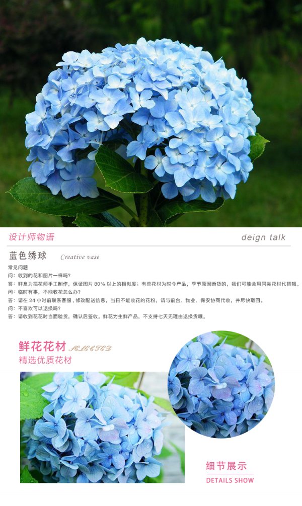 洋绣球花语