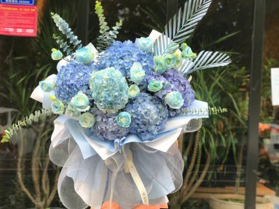 送绣球花代表什么意思 送绣球花寓意何？