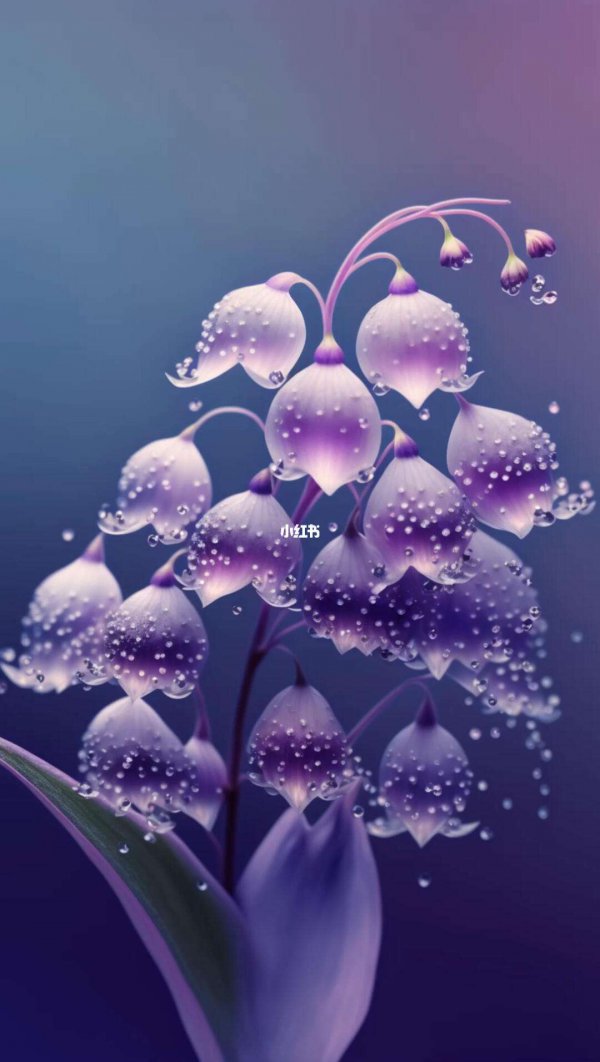 蓝色铃兰花语