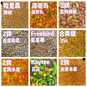 虎皮鹦鹉最佳粮食配比 虎皮鹦鹉的最佳食谱
