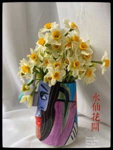 水仙花叶子发蔫怎么办 水仙花叶子变软应该怎么处理？