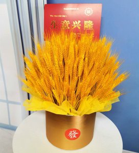 干花麦子寓意 以干花麦子象征寓意
花麦子干以寓意