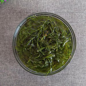 鞭炮菜原名叫什么 鞭炮菜的真实名称是什么？