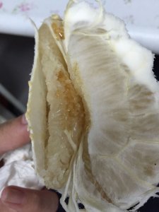 柚子里面有像胶一样的东西是什么 柚子果肉中的胶状物质是什么？