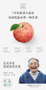 苹果的寓意和象征 苹果的象征意义