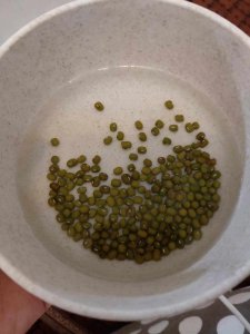 绿豆发芽变紫是否坏了 绿豆发芽变紫是不是变质了？