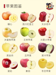苹果的别称 苹果的绰号