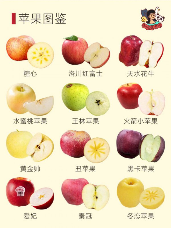 苹果的别称